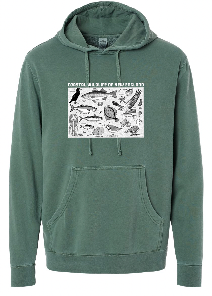 New England Coastal Wildlife Hoodie Alpine Green